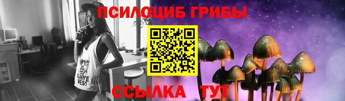 Псилоцибиновые грибы мицелий  что такое   Острогожск  Вход с VPN 